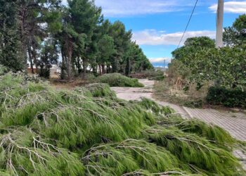 San Salvo: zona industriale devastata da vento e fiamme. Scoperchiato il campo da tennis