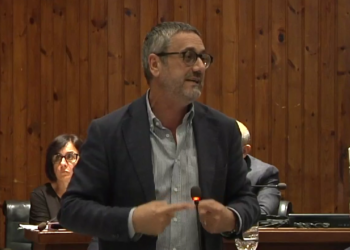 Abbattimento dei pini, non passa in Consiglio la proposta di consultazione