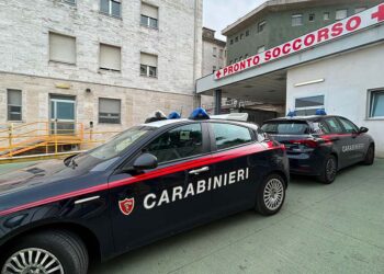 Violenza sulle donne, i dati della Asl: 43 le vittime curate in pronto soccorso negli ultimi 6 mesi