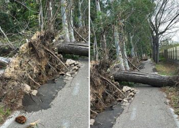 Pesanti danni alla ciclabile Vasto-San Salvo. Divelte le coperture delle panchine del “Vito Tomeo”