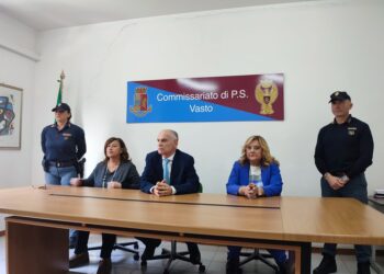 «Videosorveglianza agli ingressi della città contro la criminalità in trasferta»