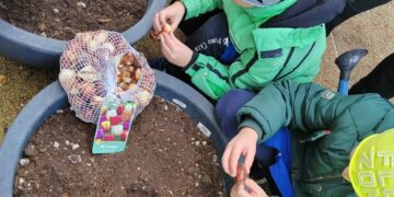 Alunni piantano bulbi di tulipani per abbellire il paese