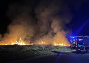 Scoppia un incendio nella zona industriale, a fuoco sterpaglie
