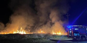 Scoppia un incendio nella zona industriale, a fuoco sterpaglie