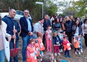 Festa dell’albero a Fonte Nuova: per i bambini educazione al rispetto della natura