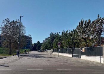 Il Tar dà ragione al Comune di San Salvo, i dehors sui parcheggi vanno rimossi