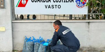 Traffico illecito di vongole, sequestri e sanzioni in pescherie di Vasto e San Salvo