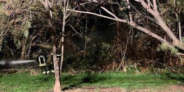 Incendi, fiamme anche nel giardino botanico di San Salvo Marina