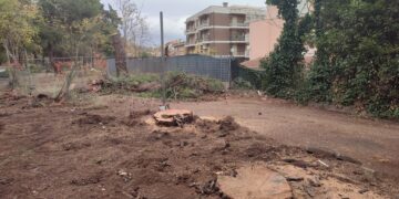Cipressi in viale del Cimitero e pini a Vasto Marina: continua il taglio degli alberi
