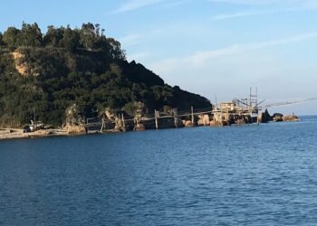 «Il Comune vuole costruire i frangiflutti dove ci sono 7 habitat e 3 specie sotto tutela»