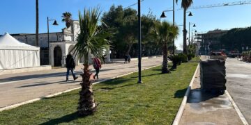 Via il pietrisco, ecco il prato: lavori in corso in lungomare Cordella