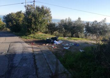 «A San Nicola tra incivili e cinghiali: rifiuti sparsi per strada»