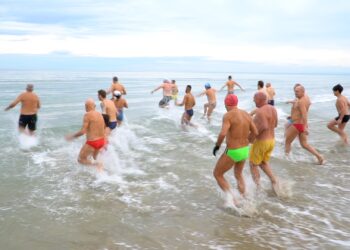 In costume da bagno il 1° gennaio: i temerari del tuffo di Capodanno