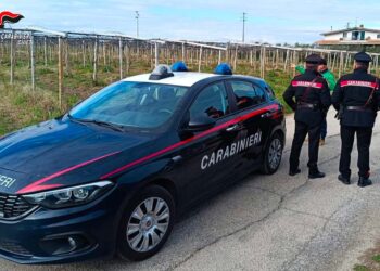 Furti in abitazioni e attività commerciali, i carabinieri intensificano i controlli