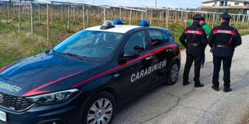 Furti in abitazioni e attività commerciali, i carabinieri intensificano i controlli