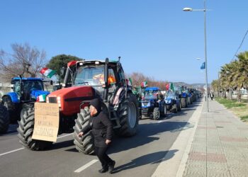 Trattori e agricoltori in corteo: «Salviamo il Made in Italy, prezzi alle stelle»