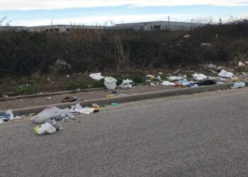 Discariche abusive, nella zona industriale di Punta Penna la strada della vergogna