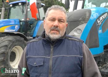 Gli agricoltori e il divorzio da associazioni di categoria e sindacati, «Sono corresponsabili»