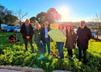 “Ethosland”, 48 alberelli piantati nelle aree verdi di 5 scuole vastesi
