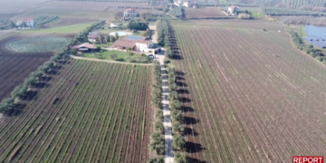 Inchiesta di Report sul vino, azienda vastese tra le eccellenze