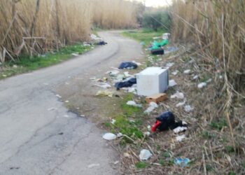 «Discariche segnalate da 10 giorni. Il Comune non interviene, lo faremo noi»