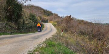 Provinciale 187, partono i lavori per lo “storico” dissesto di Lentella e per la frana di Palmoli