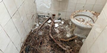 I bagni della villa comunale di Vasto devastati e inservibili: all’interno anche terra e rami