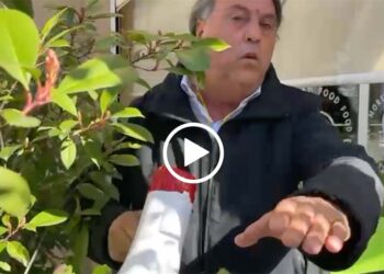 Teramo, giornalista aggredita mentre documenta contestazione. Odg: «Episodio di intolleranza»