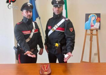 Ha in casa cocaina e hashish, arrestato 30enne