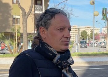 D’Elisa: «Alberi, il Comune spende 200mila euro l’anno per rimborsi da incidenti per asfalto sconnesso»