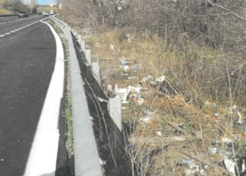 La Trignina come discarica: rifiuti disseminati vicino alla SS650, Leonzio denuncia