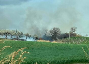 Fiamme in contrada Policorvo, incendio spento da cittadini e vigili del fuoco
