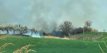 Fiamme in contrada Policorvo, incendio spento da cittadini e vigili del fuoco