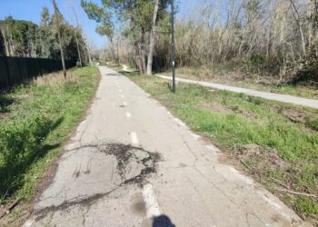Pista ciclabile tra buche, riparazioni da eseguire e ripiantumazioni