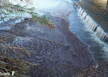 Trigno, a valle una maggiore contaminazione microbica. Accertata la presenza di enterococchi
