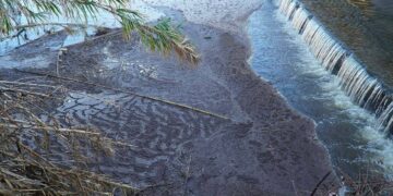 Trigno, a valle una maggiore contaminazione microbica. Accertata la presenza di enterococchi
