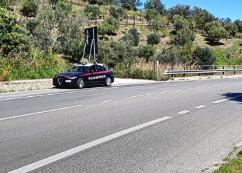 Incidente di Casarza, eseguita la perizia sulla SS16 e sulle auto per ricostruire la dinamica
