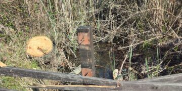 Riserva Marina di Vasto, in un canale schiuma e fetore. Barisano:  «Cause da accertare»