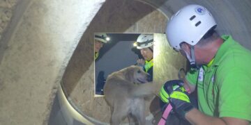 A San Salvo una scuola cinofila per l’addestramento di unità da ricerca e soccorso di scomparsi