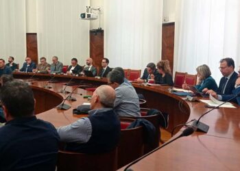 La Denso al Ministero, spiragli per la cassa integrazione, «Ma l’azienda rispetti gli accordi»