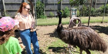 Uno degli animali simbolo dell’Australia… e a sorpresa non parliamo di koala