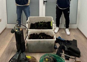 Pesca illegale, la guardia costiera di Vasto sequestra e libera in acqua 2mila ricci di mare