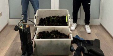 Pesca illegale, la guardia costiera di Vasto sequestra e libera in acqua 2mila ricci di mare