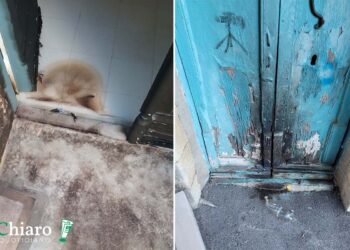 A Guilmi prese di mira due abitazioni: portoni incendiati con liquido infiammabile