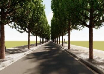 San Salvo, parte la riqualificazione di viale dei cipressi: i lavori dureranno 90 giorni