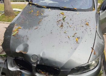 Auto va dritta alla rotatoria della Statale 16 tra Vasto e San Salvo e finisce tra le siepi