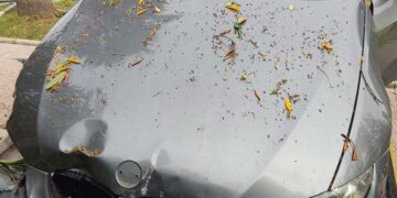 Auto va dritta alla rotatoria della Statale 16 tra Vasto e San Salvo e finisce tra le siepi