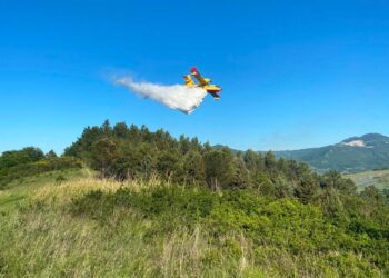 Incendio a Celenza sul Trigno, due canadair in azione