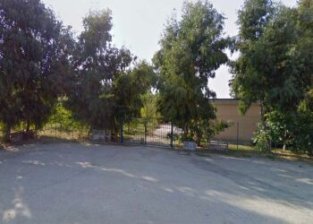 1,86 € per cane: il bando per la gestione del canile di San Salvo sotto la lente dell’Anticorruzione