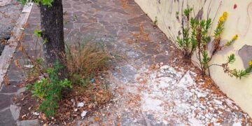 «Incuria e degrado negli spazi esterni delle scuole vastesi, il Comune intervenga»